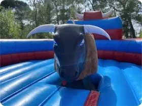 TOURO MECÂNICO PELÉ Touro Mecânico em colchão redondo azul e vermelho