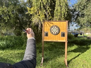 Aluguer Jogo dos Dardos Atira o dardo ao alvo